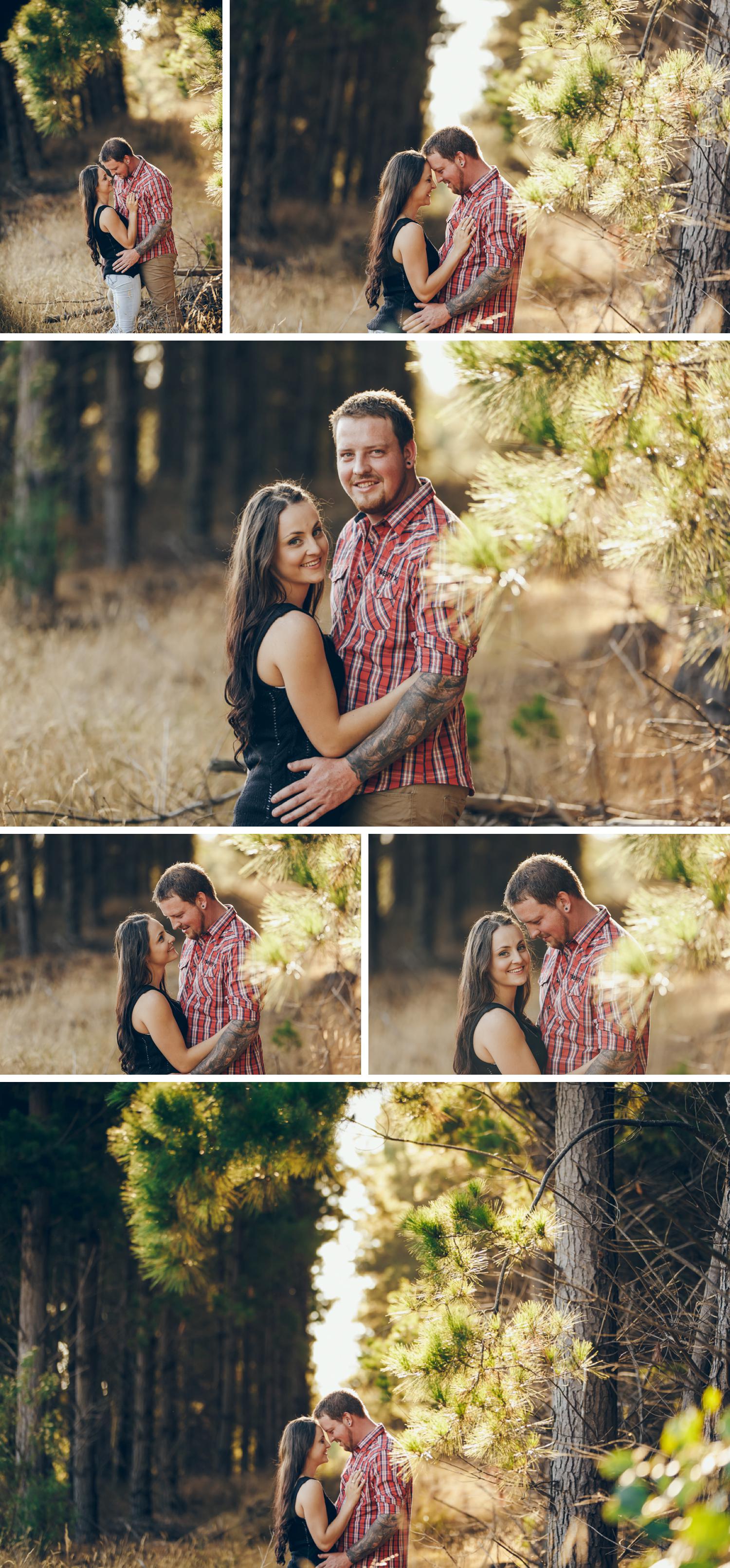 Gippsland Pine Plantation Engagement Shoot, Beautiful Field Engagement Shoot Couple Embracing by Danae Studios